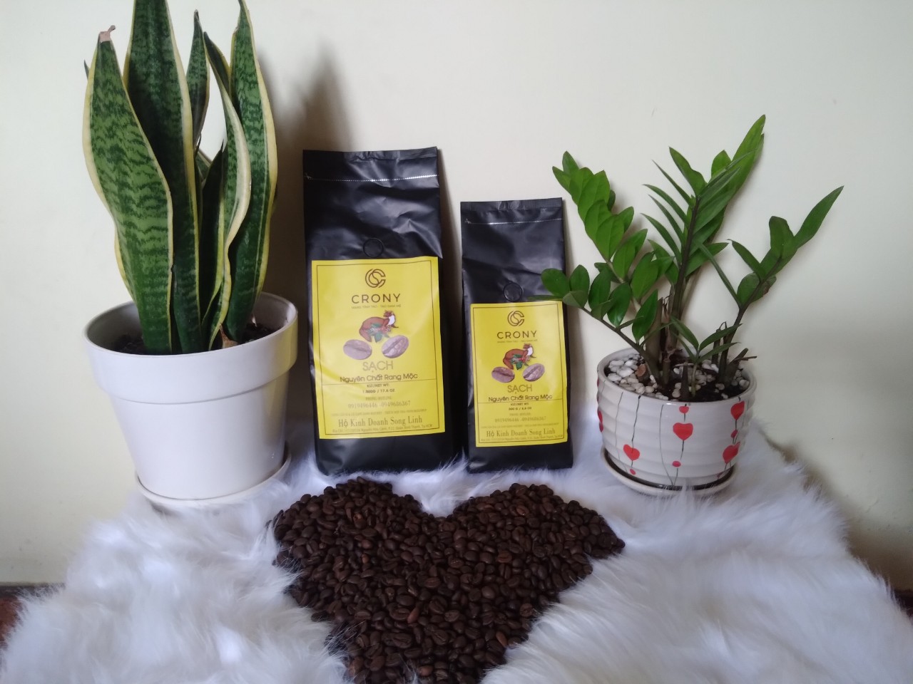 Robusta Natural (hạt)